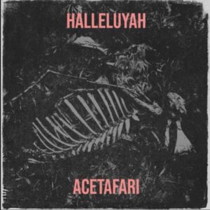 Acatafari – Halleluyah (Morning Song)